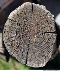 Photo Textures of Wood